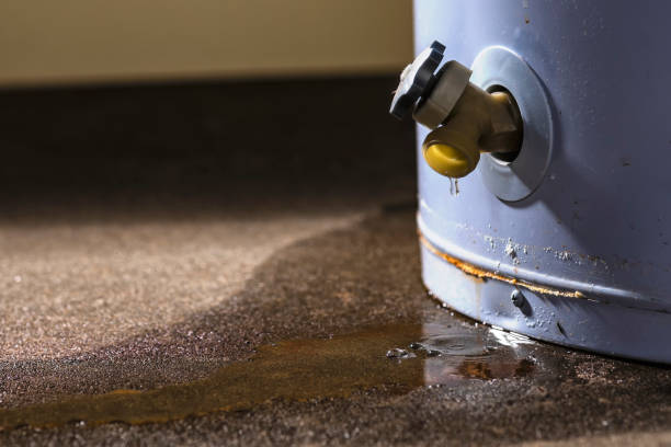 Best Water damage cleanup near me  in Mill Creek East, WA