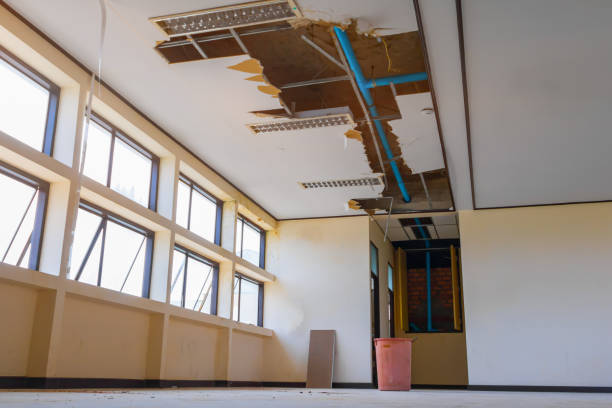 Best Flood restoration services  in Mill Creek East, WA