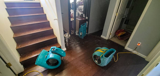 Best Water damage cleanup near me  in Mill Creek East, WA