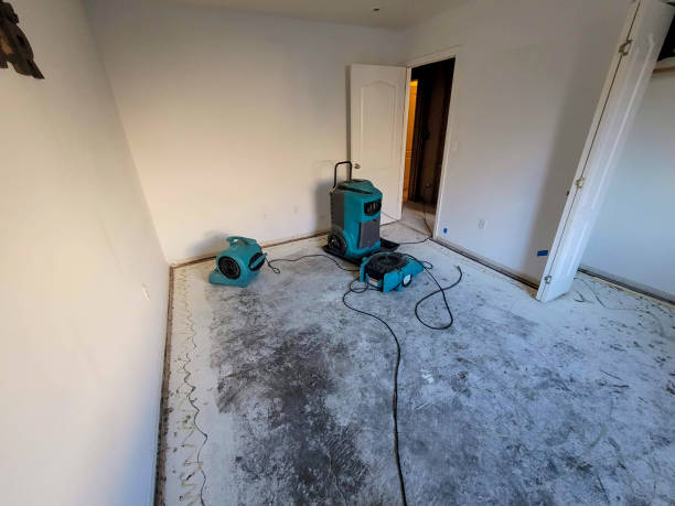Best Fire Damage Restoration  in Mill Creek East, WA