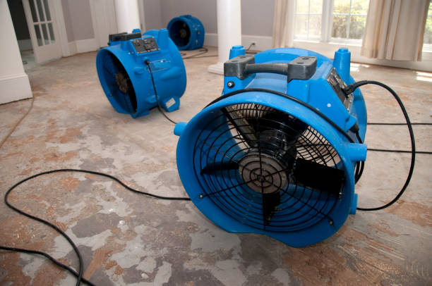 Best Water damage restoration company  in Mill Creek East, WA