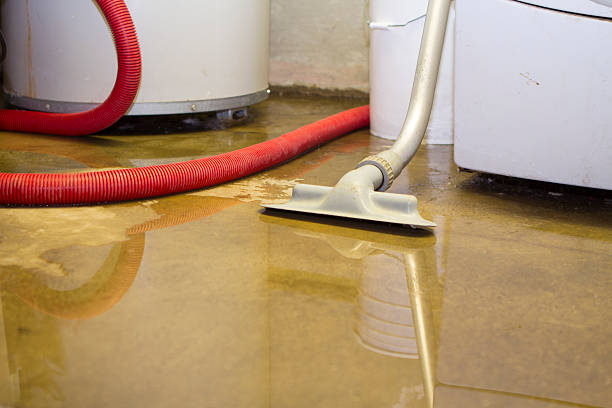 Best Basement water damage restoration  in Mill Creek East, WA