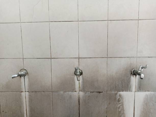 Best Sewage cleanup and water damage restoration  in Mill Creek East, WA