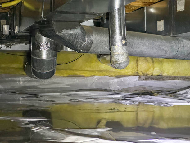Best Carpet water damage restoration  in Mill Creek East, WA