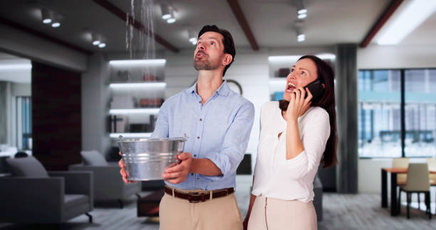 Best 24/7 water damage repair  in Mill Creek East, WA