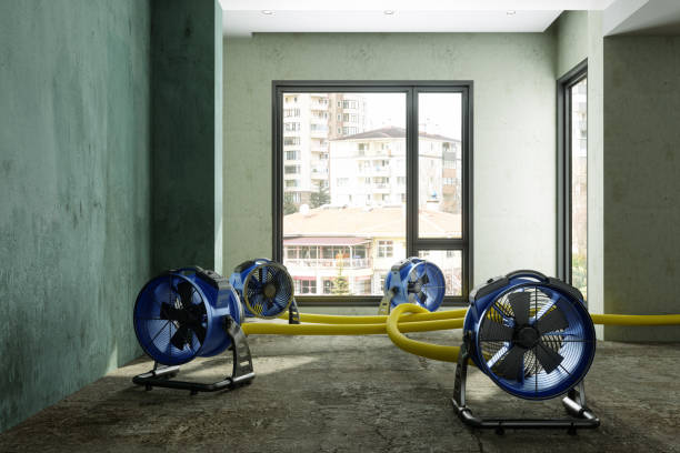 Best Residential water damage restoration  in Mill Creek East, WA